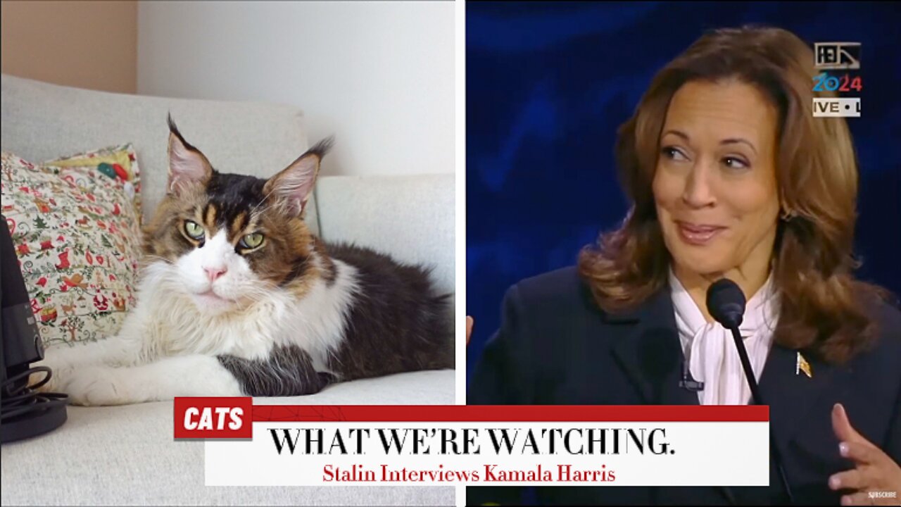 My Cat Interviewed Vice President Kamala Harris.