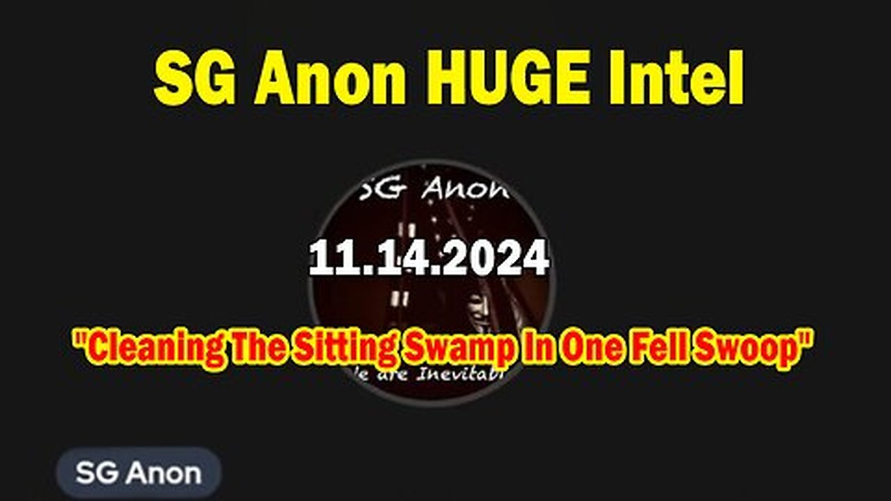 SG Anon HUGE Intel 11.14.24- 'Important Update By SG Anon & Scotty Saks'