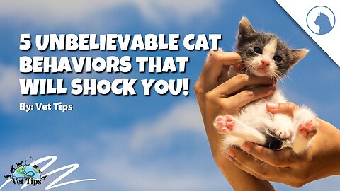 5 Unbelievable Cat Behaviors That Will Shock You!