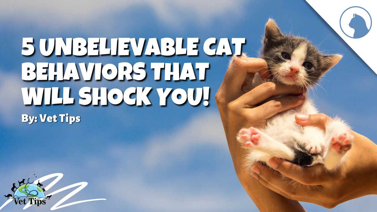 5 Unbelievable Cat Behaviors That Will Shock You!