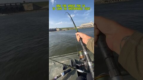 Unstoppable Fish (MONSTER)