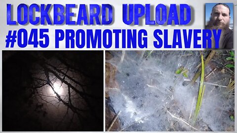 UPLOAD #045 Promoting Slavery