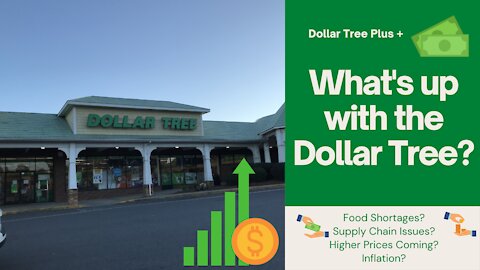 What is going on at Dollar Tree? Why so many empty shelves?