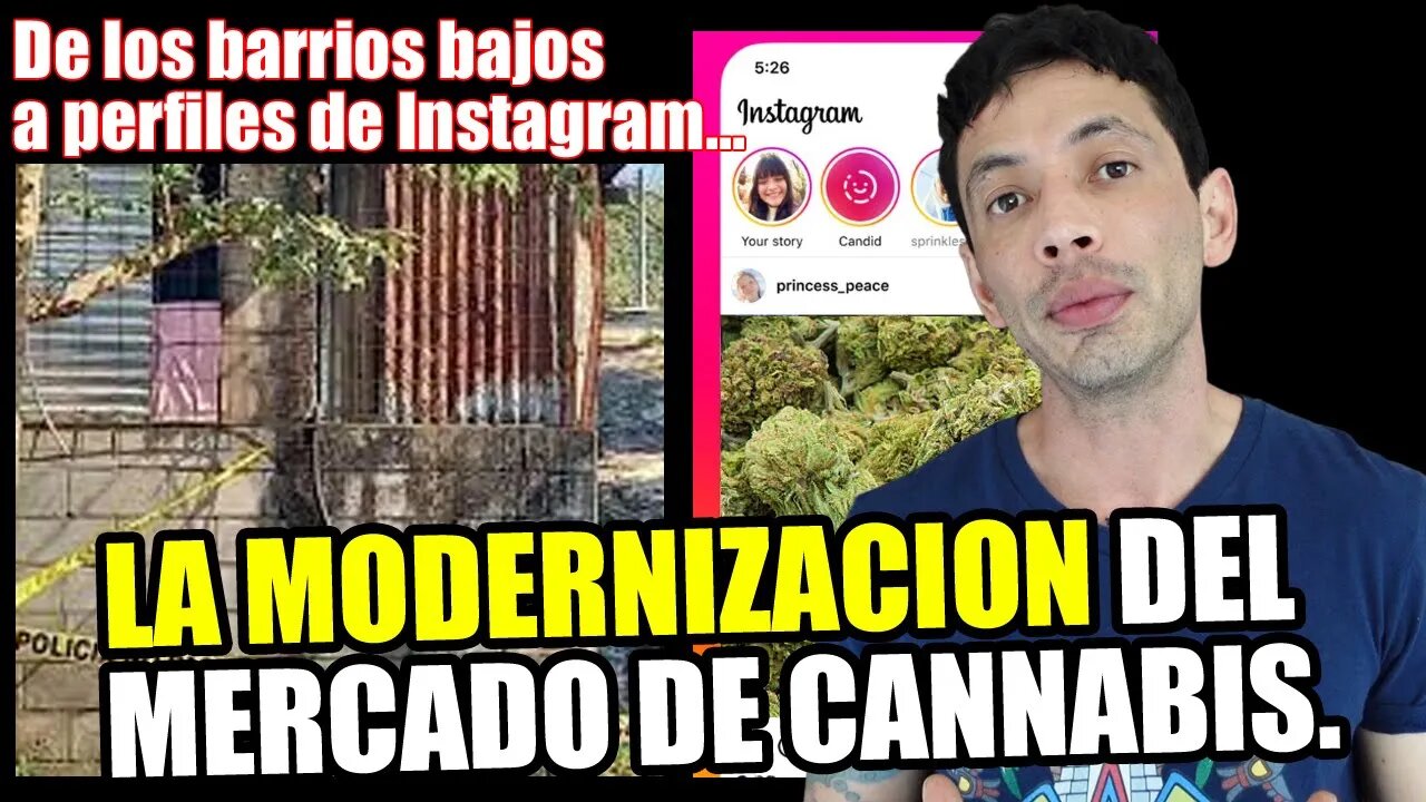 Hierba. 26 años comprando. La Modernización