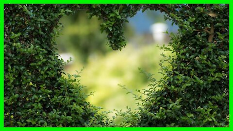 2 minutes chill and relax music
