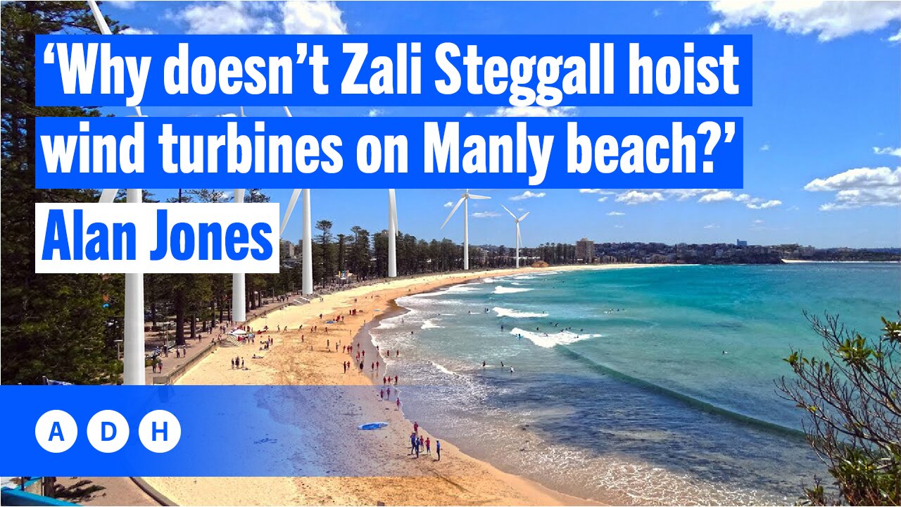 ‘Why doesn’t Zali Steggall hoist wind turbines on Manly Beach?’ | Alan Jones