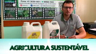 Agricultura Sustentável - com Frederico Olivi