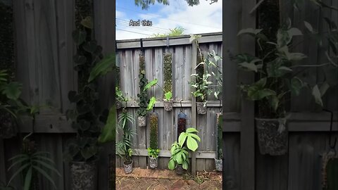 Loving my new Grow Vertical (@grow.vertical on instagram) set-up :)