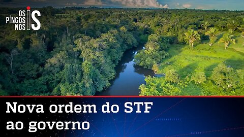 STF manda governo reativar Fundo Amazônia em 60 dias