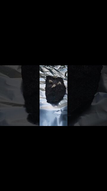 Memorial Day Brisket and backyard camping!