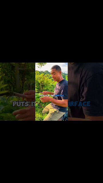 THIS will make your garden EXPLODE with life! | #farming #homesteader #gardendesign #nature