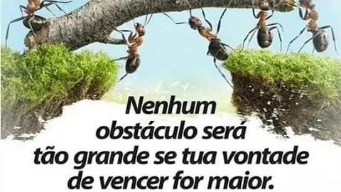 FIM DE TURNO: UMA NOVA ETAPA E NOVOS DESAFIOS