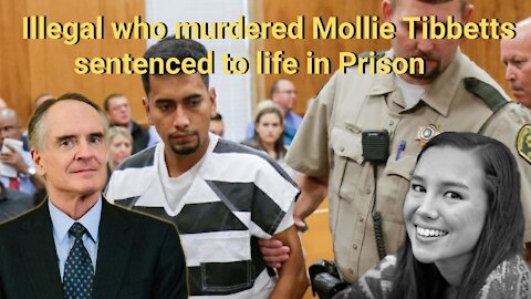 Jared Taylor || Illegal alien who murdered Mollie Tibbetts sentenced to Life in Prison