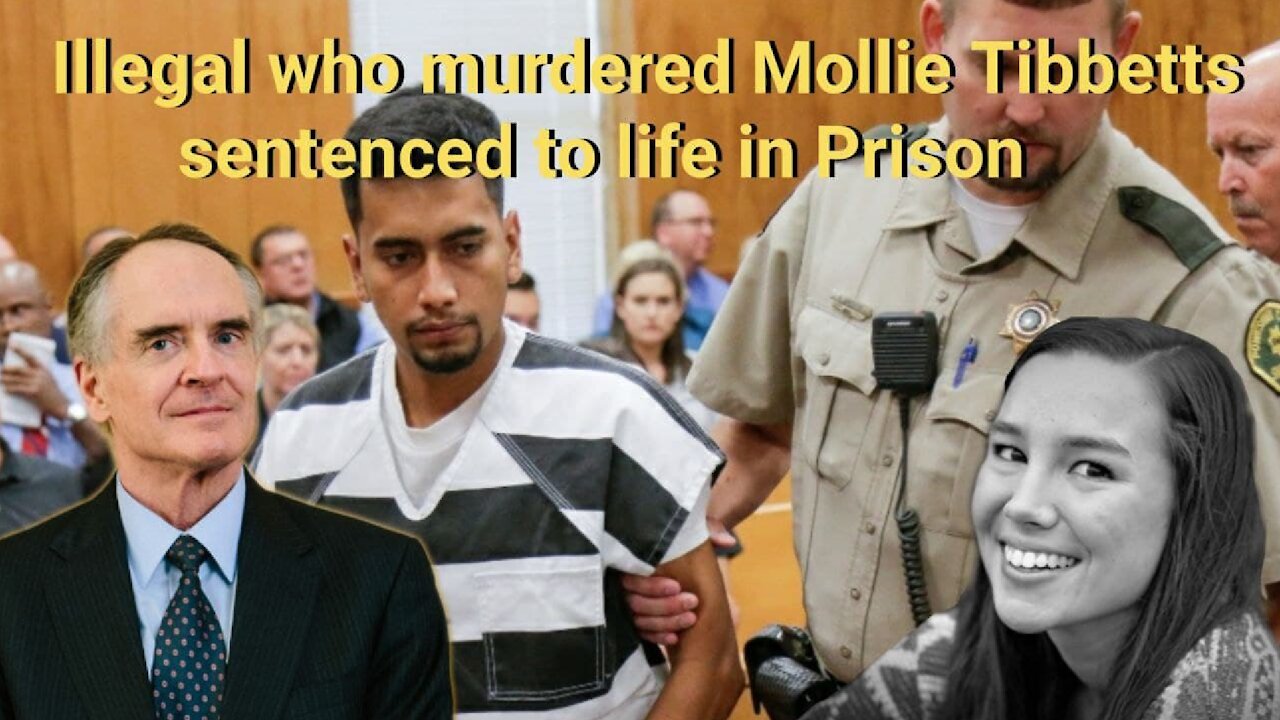 Jared Taylor || Illegal alien who murdered Mollie Tibbetts sentenced to Life in Prison
