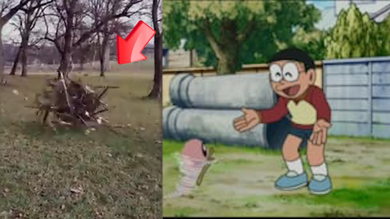 Moves like a living breathing Fuso from Doraemon [Mysterious]