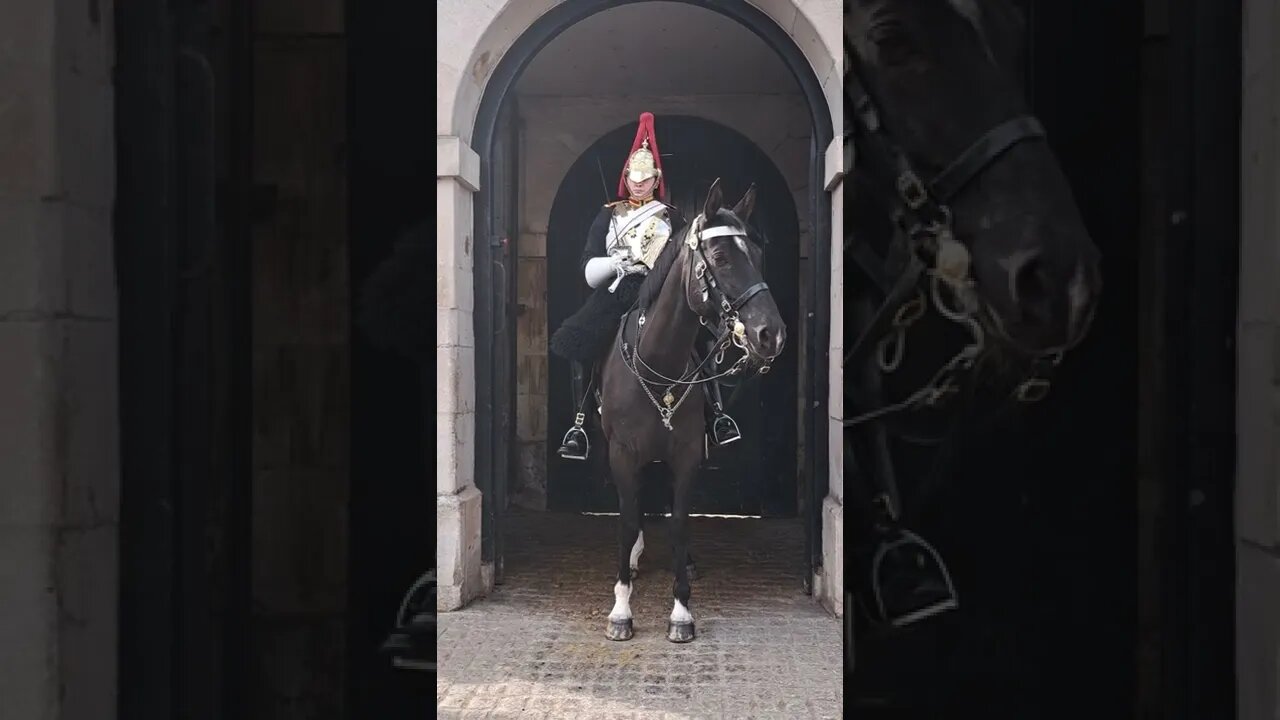 Tourist tries for the 3rd time to get a picture taken with the kings guard part 3 #horseguardsparade