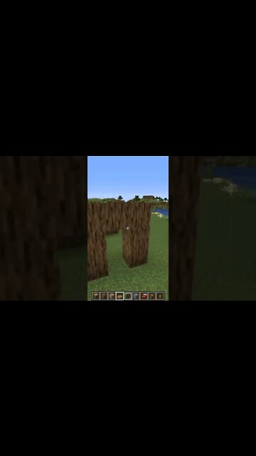 Minecraft #tiktok #Shorts