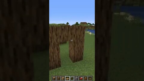 Minecraft #tiktok #Shorts