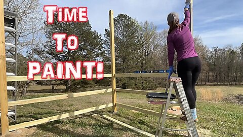 Painting The Predator Proof Chicken Coop, And Getting Some New Baby Birds!