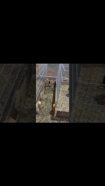 Beautiful Sight 😍