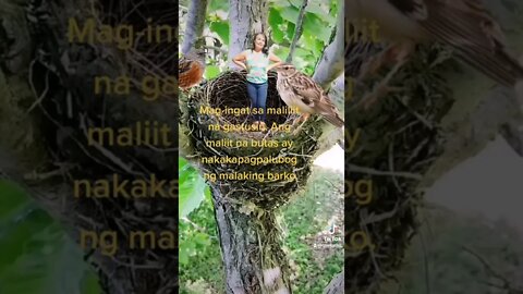 Mag-ingat sa gastusan