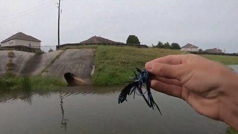 HUGE MYSTERY FISH on a BASS JIG!-11