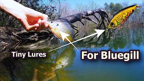 Bluegill on tiny lures pt 5
