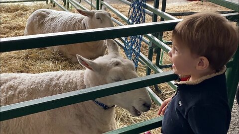 Topsfield Fair 2021 & Henry’s First Visit - TWE 0307