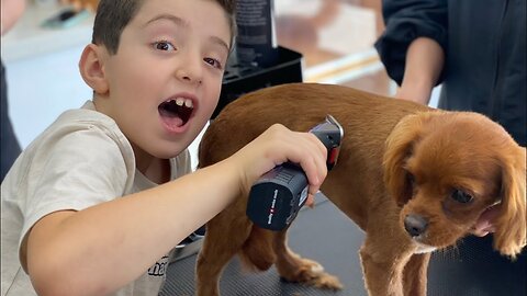 Learn how your dog is groomed at the Salon