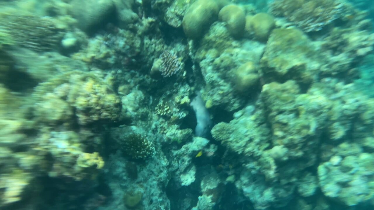 Something is underwater.