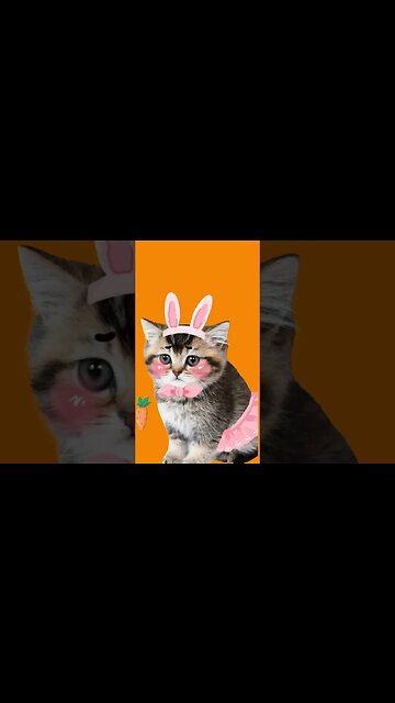 Todays Logic #Shorts 😬