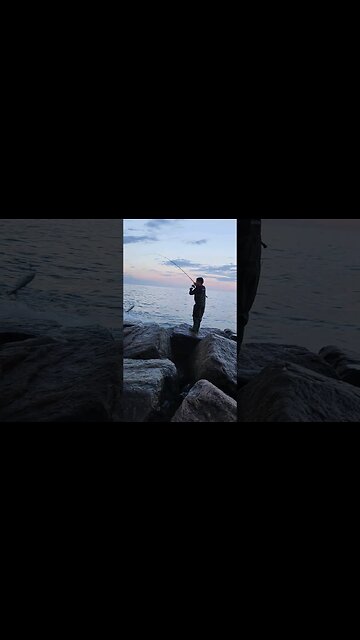 Sunset Blues Vibes🌑🌚