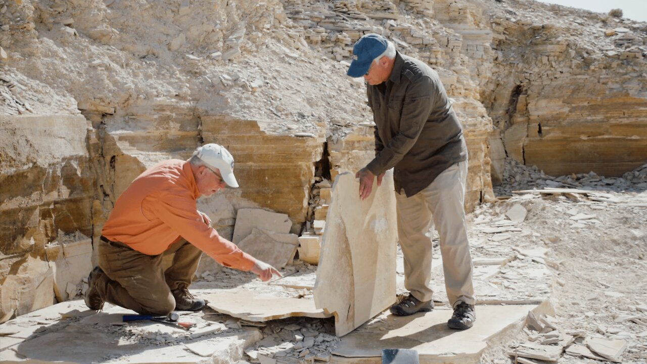 How Long Does It Take to Bury and Fossilize a Fish? | New Clip From 'Mountains After the Flood'