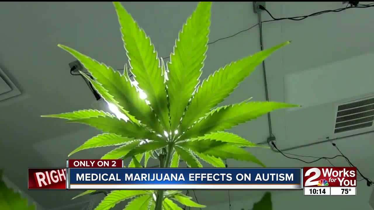 Medical marijuana effects on Autism