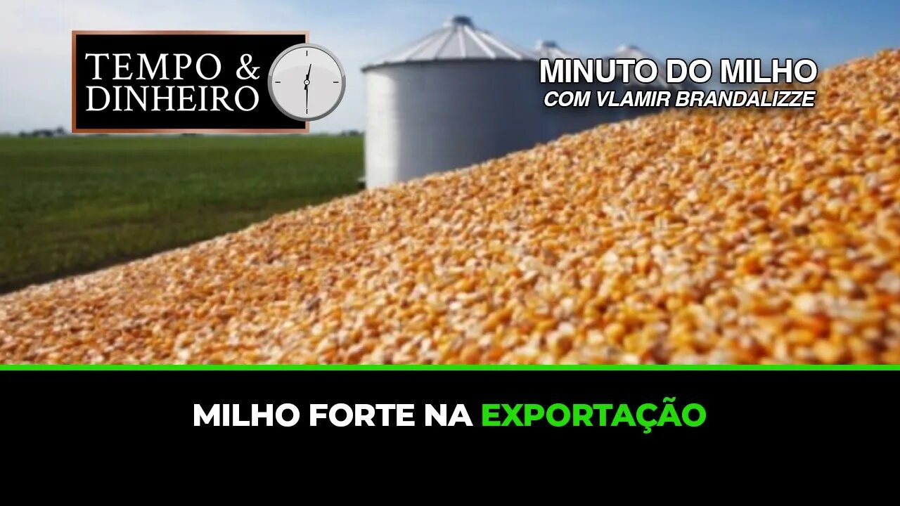 Milho forte na exportação