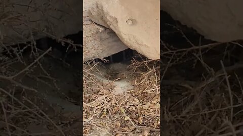 Other side of mysterious tunnel under Skyline Drive in Canon City, Colorado PT 3.