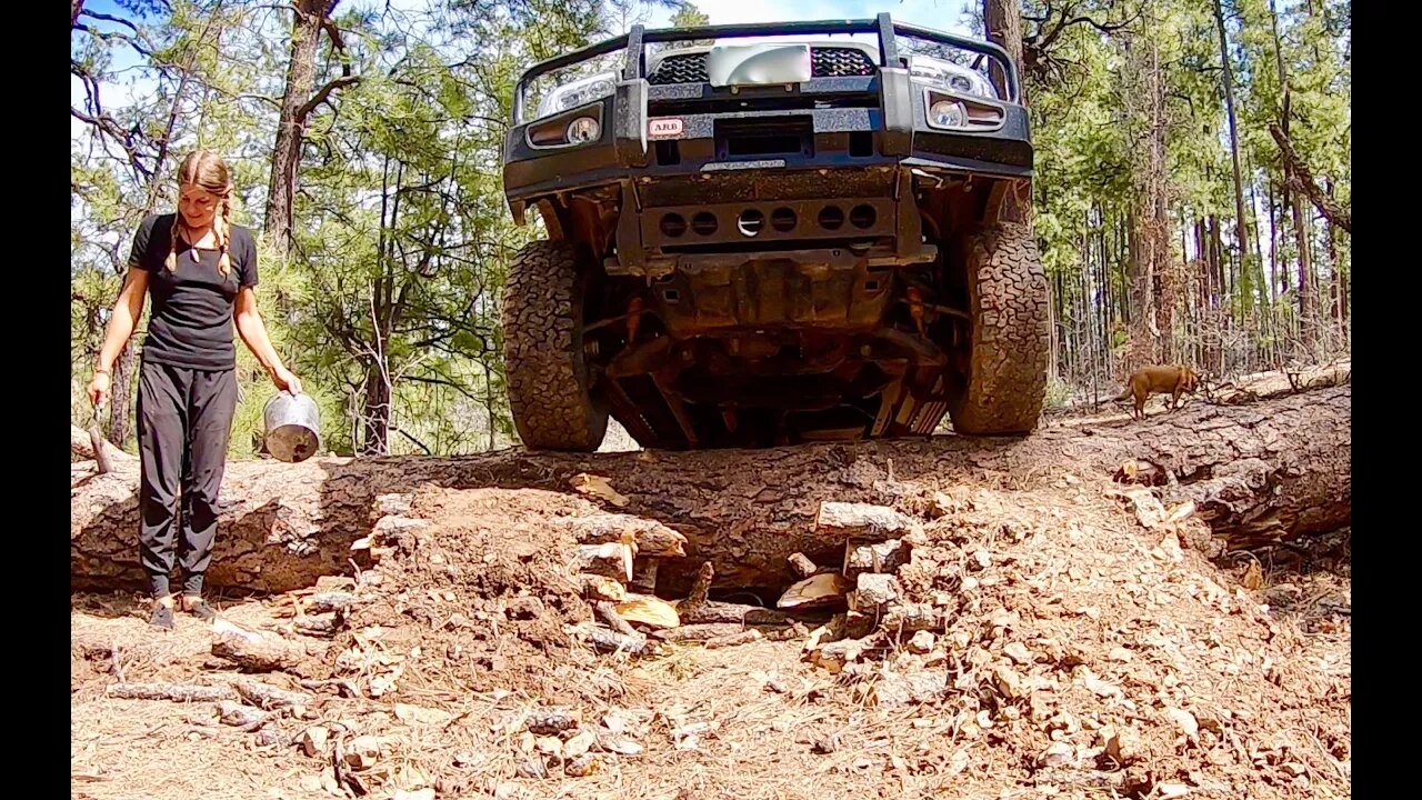 Nomad 4x4 Van Life: Can I Make It Over This Tree Blocking The Trail?