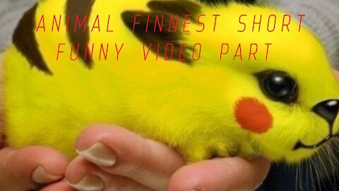 animal finnest short funny video Part
