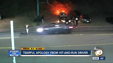 Tearful apology from hit-and-run driver