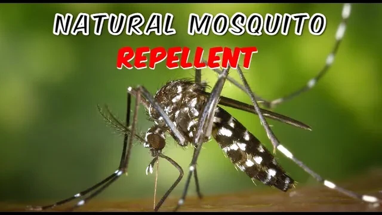 Natural Mosquito Repellent