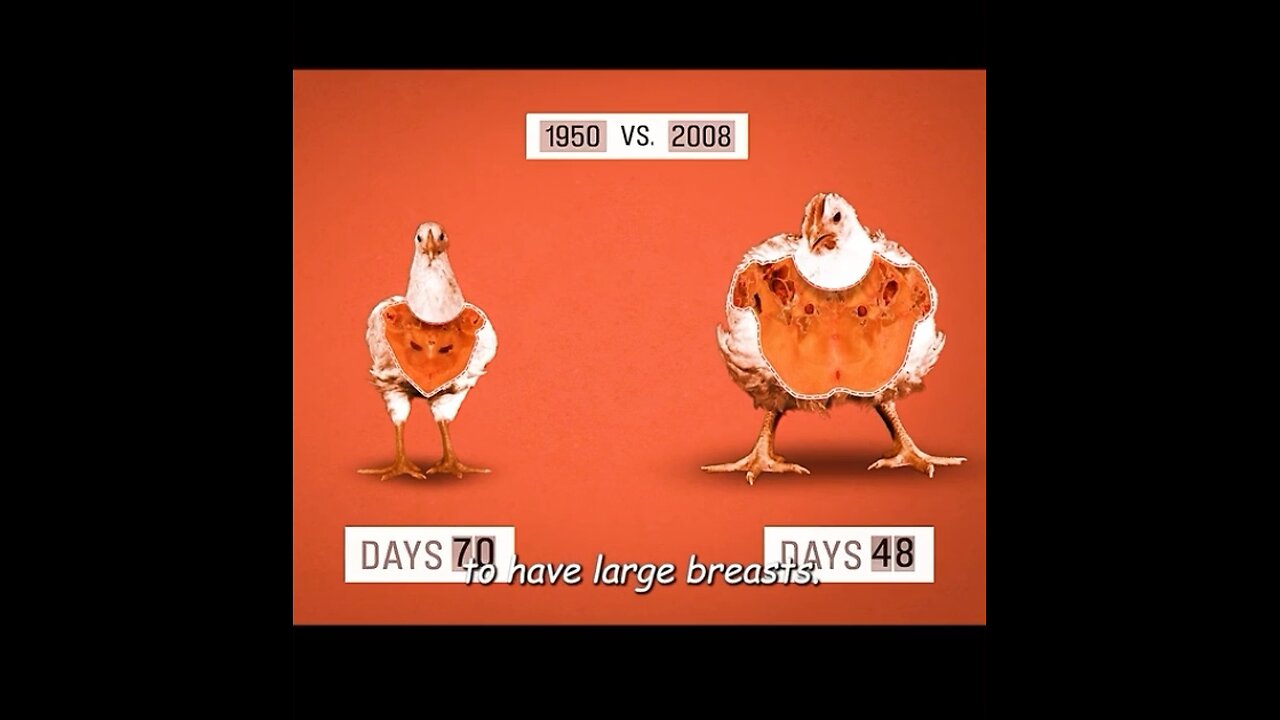 Does McDonald’s affect ALL your food? YESSSSS!