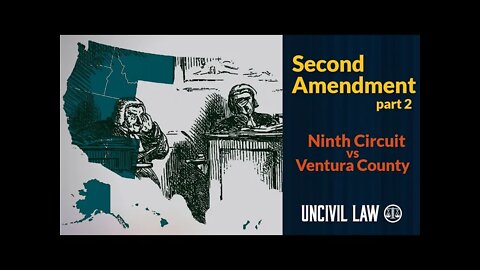 Judge Dissents From Himself About Gun Rights and It's Hilarious