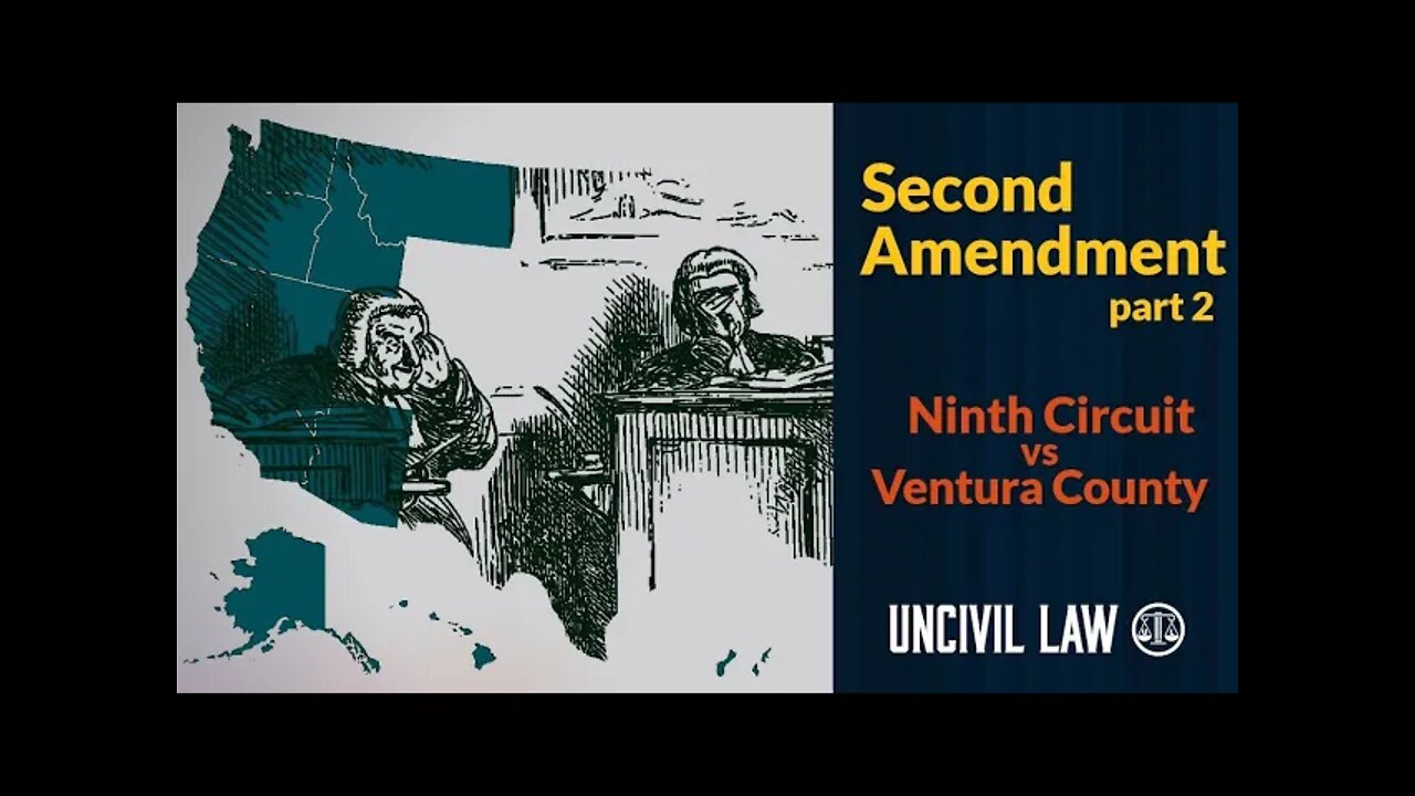 Judge Dissents From Himself About Gun Rights and It's Hilarious