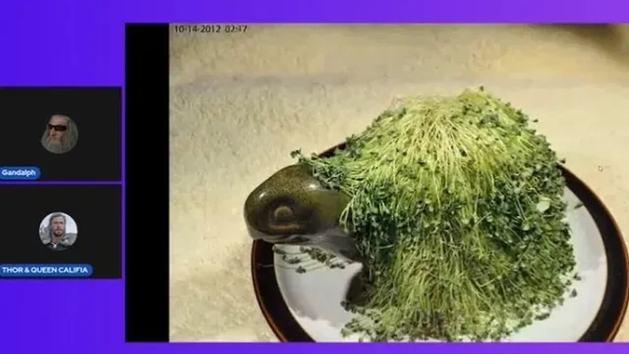 Ascension to Crystal Is Aquarius Jan 5, 2023