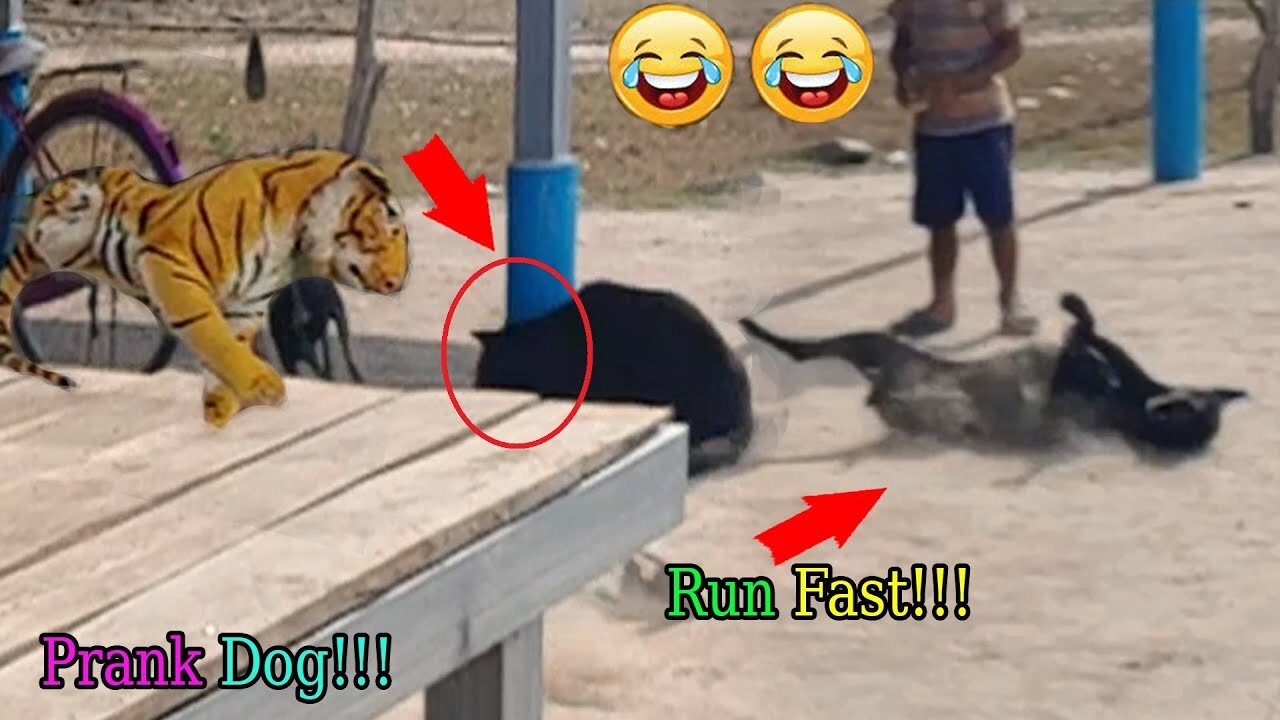 Wow!!! Fake Tiger Prank Dog So Funny Try To Stop Laugh Challenge Pranks