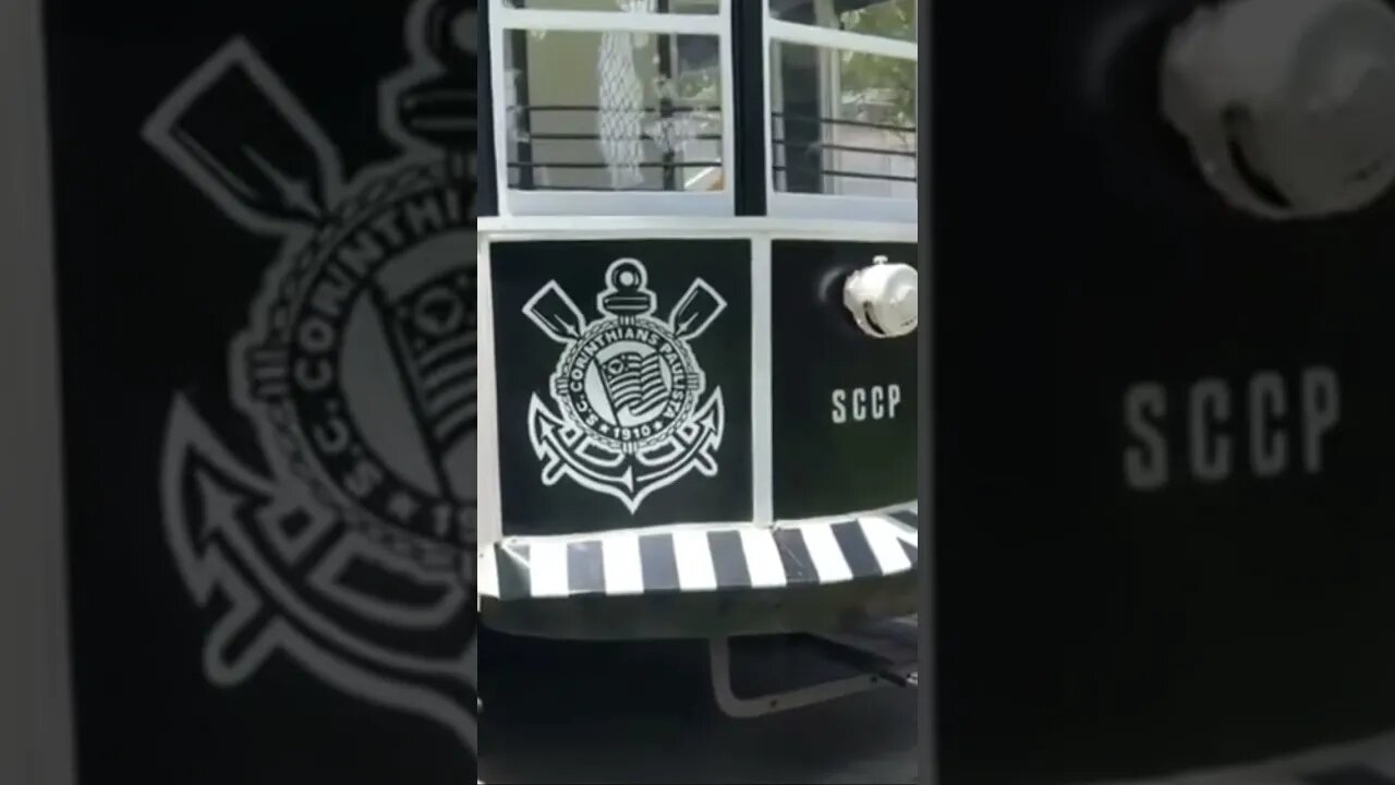 EU DORMIA NO TREM do CORINTHIANS #corinthians