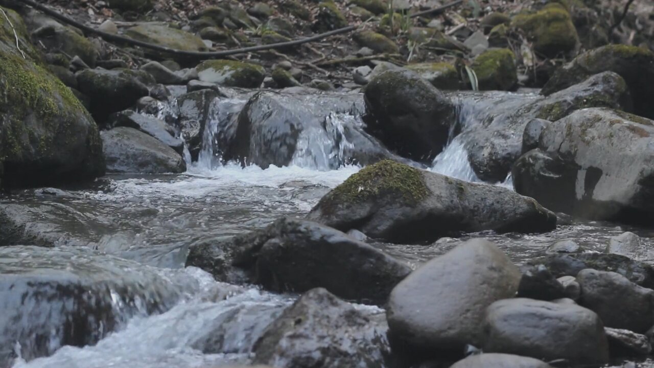 Relaxing Nature Sounds of a Forest River for Relaxing, spa-Natural Soothing Sound of a Waterfall