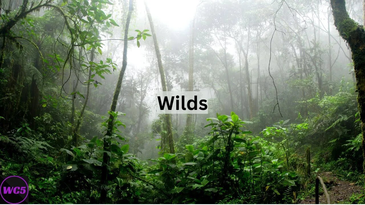 (FREE) Wilds - Calm Trap Type Beat - woochunk5