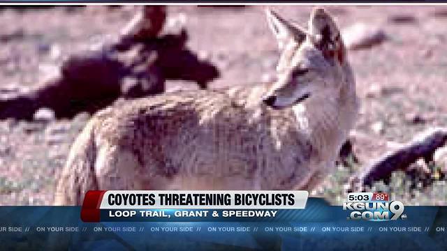 Game and Fish: Coyotes threatening bicyclists on Loop