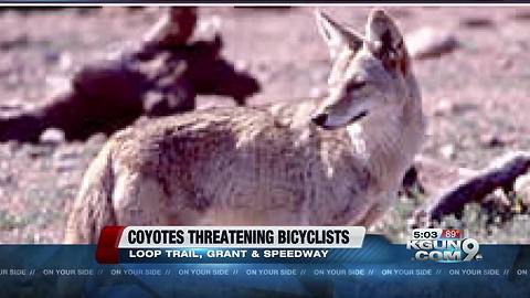 Game and Fish: Coyotes threatening bicyclists on Loop